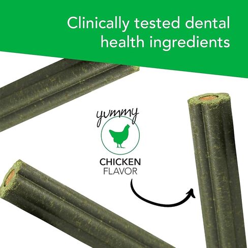 VetriScience Healthy Mouth Dog Dental Powder, Perio Support Clinically Tested Dental Powder for Dogs and Cats, Freshen Breath, Control Plaque & Tartar, Oral Health, 4.2 oz in Saudi Arabia