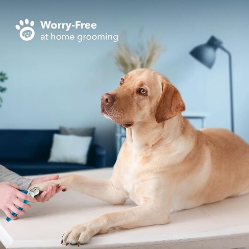 Boshel Small Dog Nail Clipper - Dog Nail Trimmer with Safety Guard, Dog Nail Clippers for Small Dogs & Cat, Razor-Sharp Dog Nail Trimmers, Puppy Toenail Cutter, Pet Nail Clippers for Dogs + Nail File in Kuwait