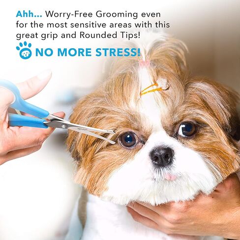 BOSHEL 2 Pc Dog Grooming Scissors for Dogs at Home, Dog Scissors for Grooming with Safety Round Tips, Professional Dog Grooming Scissors Set, Pet Grooming Shears Set for Dogs & Cats, Pet Scissors Kit in Kuwait