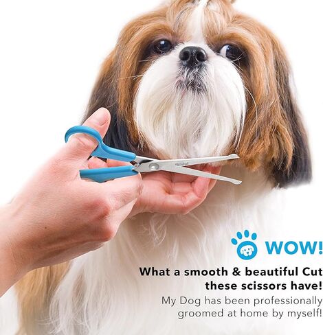 BOSHEL 2 Pc Dog Grooming Scissors for Dogs at Home, Dog Scissors for Grooming with Safety Round Tips, Professional Dog Grooming Scissors Set, Pet Grooming Shears Set for Dogs & Cats, Pet Scissors Kit in Kuwait