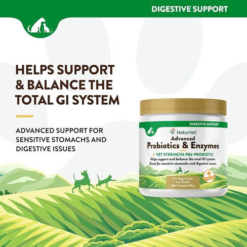NaturVet - إنزيمات هضمية للقطط بالإضافة إلى البروبيوتيك - 60 مضغًا ناعمًا - يساعد على دعم تغيير النظام الغذائي والجهاز الهضمي الصحي - يساعد في امتصاص الفيتامينات والمعادن - كمية تكفي لمدة 30 يومًا in Kuwait