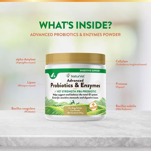 NaturVet - إنزيمات هضمية للقطط بالإضافة إلى البروبيوتيك - 60 مضغًا ناعمًا - يساعد على دعم تغيير النظام الغذائي والجهاز الهضمي الصحي - يساعد في امتصاص الفيتامينات والمعادن - كمية تكفي لمدة 30 يومًا in Kuwait