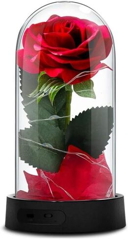 هدايا Beauty and The Beast Rose لها، وردة داخلية لهدايا عيد الميلاد، وردة محفوظة لذكرى عيد الحب للنساء، وعيد الشهر والتعبير in Kuwait