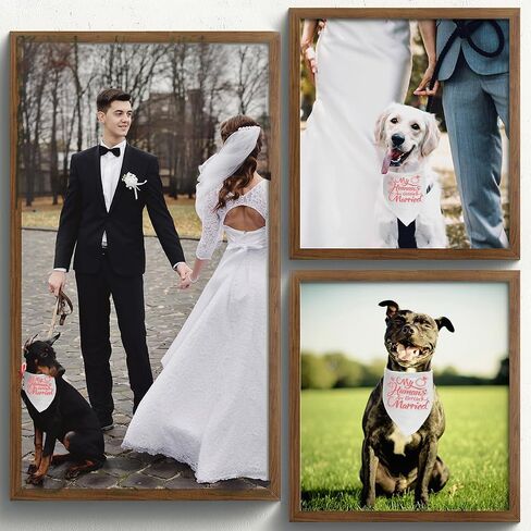 Engagement Gift, My Humans are Getting Married Dog Bandana, Wedding Photo Prop, Pet Scarf, Dog Engagement Announcement, Pet Accessories (Black) in Saudi Arabia