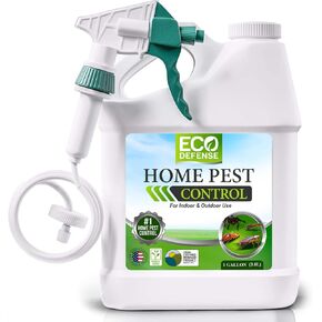 Eco Defense USDA Biobased Pest Control Spray - Ant, Roach, Spider, Bug Killer and Repellent - Natural Indoor & Outdoor Bug Spray - Child & Pet Friendly (1 Gallon)