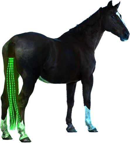 Horse Tail LED Light Bar,100cm/40inch Horse Equipment Riding Tail Trapings Equestrian Type-c Charge Horse Tail Bag for Horse Shows (Blue) in Kuwait