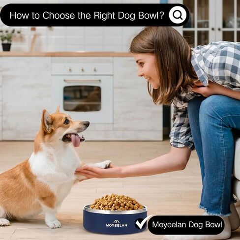 وعاء كلب أزرق كبير من الفولاذ المقاوم للصدأ بسعة 64 أونصة مع قاعدة مضادة للانزلاق، متين ومقاوم للصدأ للاستخدام طويل الأمد؛ يتميز بتصميم عميق وواسع للفم لتناول الطعام والشرب بشكل مريح. in Kuwait