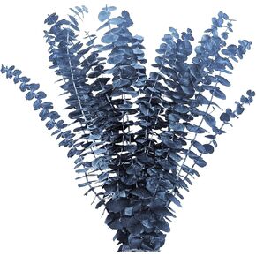 15Pcs Dried Preserved Blue Eucalyptus Stems, 100% Natural Fresh Eucalyptus Plant, Fresh Eucalyptus for DIY Wedding Party Home Shower Decor, 17" Eucalyptus Bouquet Floral Arrangement Vase Filler