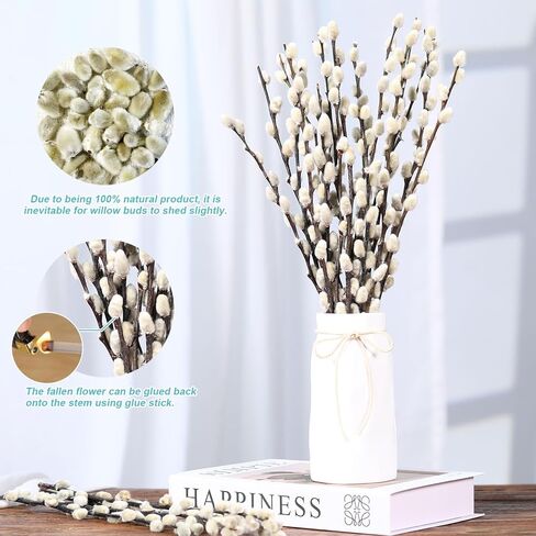 فروع الصفصاف المجففة المحفوظة الطبيعية للمزهريات، 20 ينبع الصفصاف الهرة الحقيقية، 17 "صفصاف الهرة الثلجية، الزهور المجففة للديكور الداخلي والخارجي، منزل الزفاف DIY الزهور الفن النباتات الموقد in Kuwait