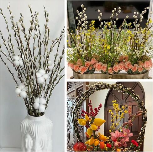 فروع الصفصاف المجففة المحفوظة الطبيعية للمزهريات، 20 ينبع الصفصاف الهرة الحقيقية، 17 "صفصاف الهرة الثلجية، الزهور المجففة للديكور الداخلي والخارجي، منزل الزفاف DIY الزهور الفن النباتات الموقد in Kuwait