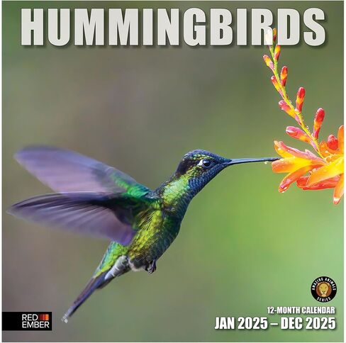 RED EMBER Hummingbirds 2025 Hangable Monthly Wall Calendar | 12" x 24" Open | Thick & Sturdy Paper | Giftable | Wildlife Garden Nature | Spread Your Wings in Kuwait