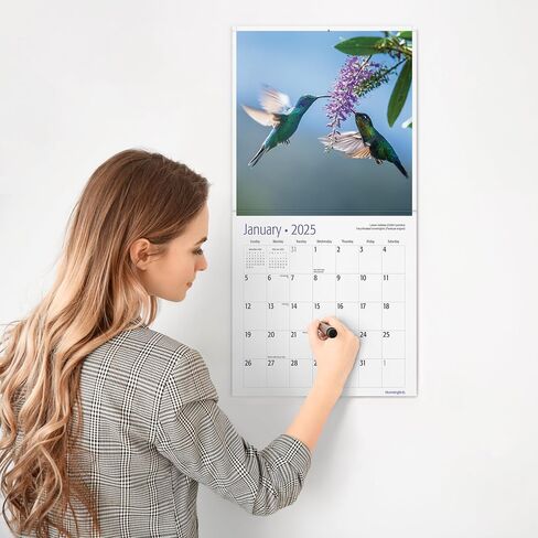 RED EMBER Hummingbirds 2025 Hangable Monthly Wall Calendar | 12" x 24" Open | Thick & Sturdy Paper | Giftable | Wildlife Garden Nature | Spread Your Wings in Kuwait