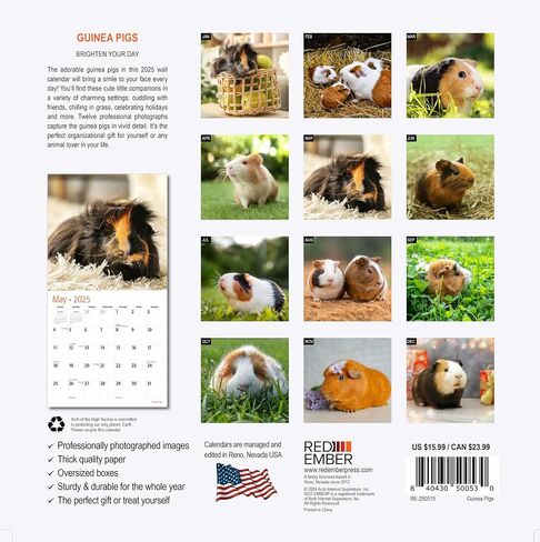 RED EMBER Guinea Pigs 2025 Hangable Monthly Wall Calendar | 12" x 24" Open | Thick & Sturdy Paper | Giftable | Kids Animals in Saudi Arabia