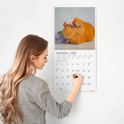 RED EMBER Guinea Pigs 2025 Hangable Monthly Wall Calendar | 12" x 24" Open | Thick & Sturdy Paper | Giftable | Kids Animals in Saudi Arabia