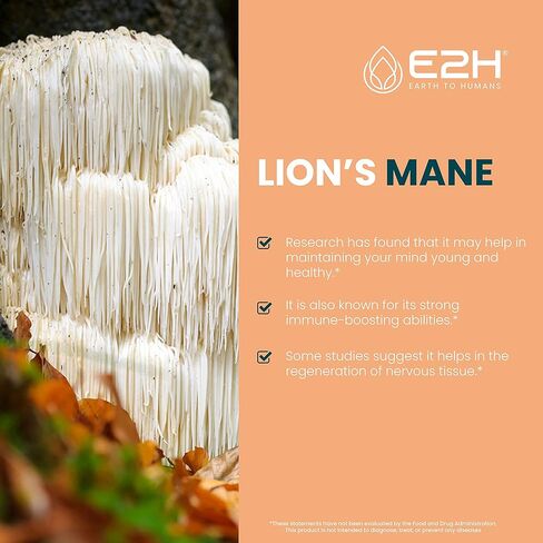 Lions Mane - مكمل Lions Mane - يعزز الوضوح العقلي والذاكرة والتركيز - سائل Lions Mane لدعم المناعة - صبغة الفطر - 2 أونصة سائلة من E2H in Kuwait