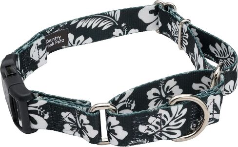 Country Brook Petz - طوق Anchor's Away Martingale للكلاب مع إبزيم فاخر - مجموعة Summer Breeze مع 4 تصميمات مشمسة (1 بوصة، كبيرة) in Kuwait
