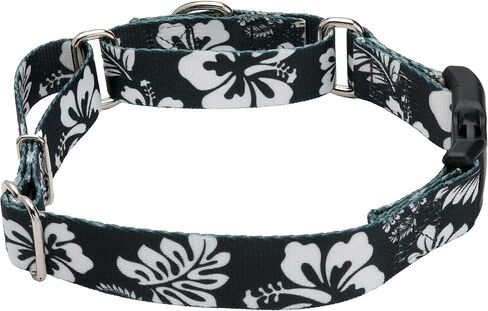 Country Brook Petz - طوق Anchor's Away Martingale للكلاب مع إبزيم فاخر - مجموعة Summer Breeze مع 4 تصميمات مشمسة (1 بوصة، كبيرة) in Kuwait