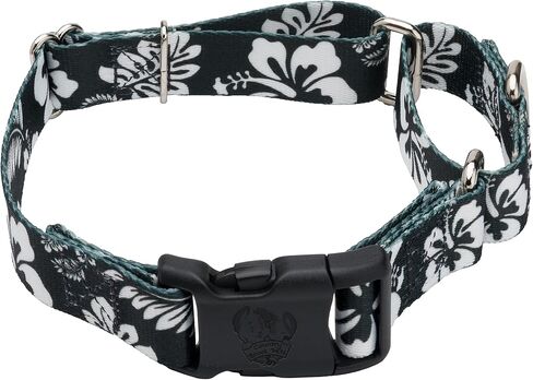 Country Brook Petz - طوق Anchor's Away Martingale للكلاب مع إبزيم فاخر - مجموعة Summer Breeze مع 4 تصميمات مشمسة (1 بوصة، كبيرة) in Kuwait