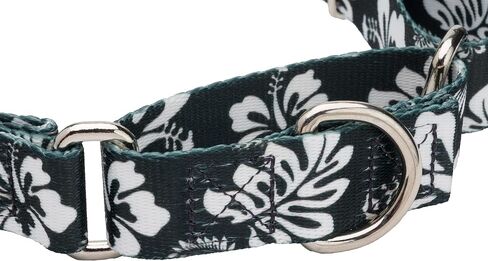 Country Brook Petz - طوق Anchor's Away Martingale للكلاب مع إبزيم فاخر - مجموعة Summer Breeze مع 4 تصميمات مشمسة (1 بوصة، كبيرة) in Kuwait