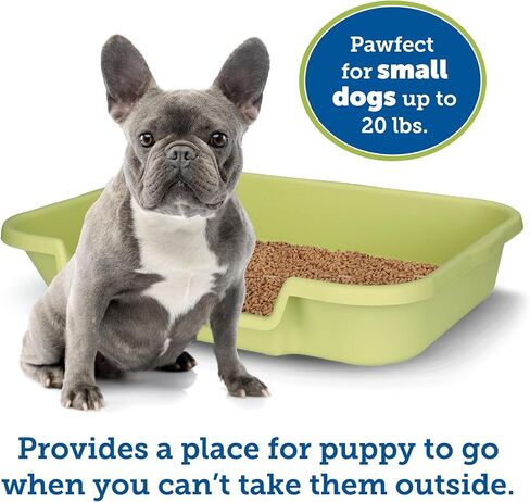 صندوق فضلات الكلاب من PuppyGoHere، حجم كبير، أسود حداد، صندوق فضلات متين وآمن للحيوانات الأليفة، وعاء فضلات الكلاب مفتوح من الأعلى، مريح للكلاب، رائع للكلاب التي يصل وزنها إلى 20 رطلًا in Kuwait