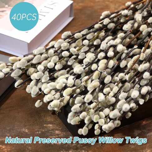 فروع الصفصاف المجففة الطبيعية المحفوظة للمزهريات، 40 ينبع الصفصاف الحقيقي، 17 "صفصاف الثلج، الزهور المجففة للديكور الداخلي والخارجي، منزل الزفاف DIY الزهور الفن النباتات الموقد in Kuwait