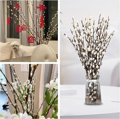 فروع الصفصاف المجففة الطبيعية المحفوظة للمزهريات، 40 ينبع الصفصاف الحقيقي، 17 "صفصاف الثلج، الزهور المجففة للديكور الداخلي والخارجي، منزل الزفاف DIY الزهور الفن النباتات الموقد in Kuwait