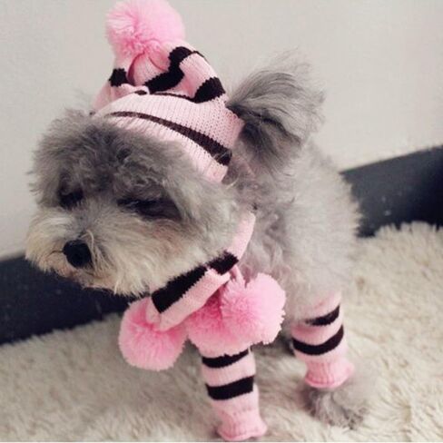 ANIAC 6 PCS Winter Knitted Dog Hat Scarf and Leg Warmer Set Puppy Warm knitting Hat with Ear Holes Pet Pompom Cap & Collar Christmas Costume Suit for Cats Small Dogs (X-Small, Pink) in Saudi Arabia