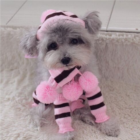 ANIAC 6 PCS Winter Knitted Dog Hat Scarf and Leg Warmer Set Puppy Warm knitting Hat with Ear Holes Pet Pompom Cap & Collar Christmas Costume Suit for Cats Small Dogs (X-Small, Pink) in Saudi Arabia