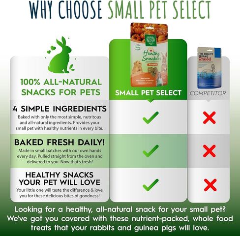 Small Pet Select - Healthy Snackers - Apple in Saudi Arabia