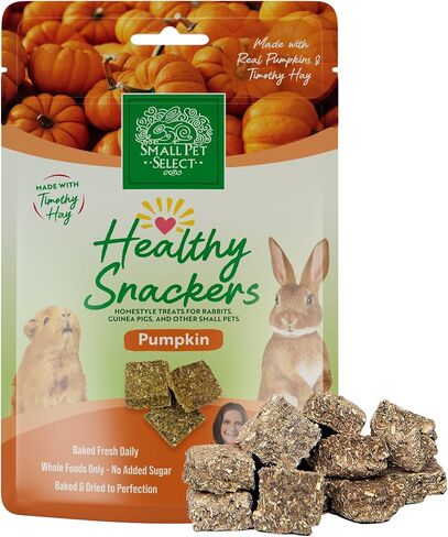 Small Pet Select - Healthy Snackers - Apple in Saudi Arabia