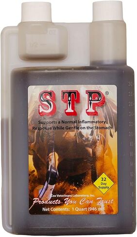 STP Liquid Quart in Saudi Arabia