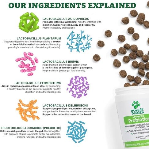 Doggie Dailies Probiotic Soft Chews for Dogs, Pumpkin, 225 Count in Kuwait