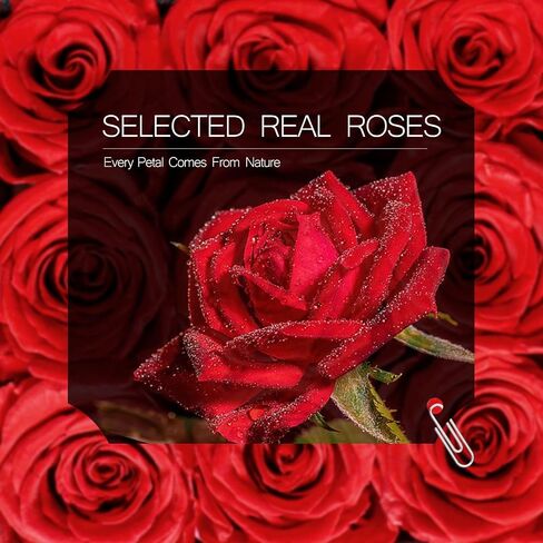 Forever Roses in a Box. Preserved Flower Rose Gifts for Mom, Women, Love, Wife, Girlfriend, Grandma. Eternal Roses Gift Box on Mother's Day, Birthday, Valentines, Anniversary. (4 Blue Roses) in Saudi Arabia