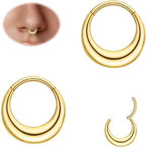 2pcs Nose Rings Hoops for Women-G23 Solid Titanium and 316L Surgical Steel Segment Septum Nose Rings sets,Helix Piercing Jewelry16G 8mm 10mm Teardrop Moon Face Cartilage Clicker Hoop Earrings for Rook,Daith,Tragus,Hypoallergenic