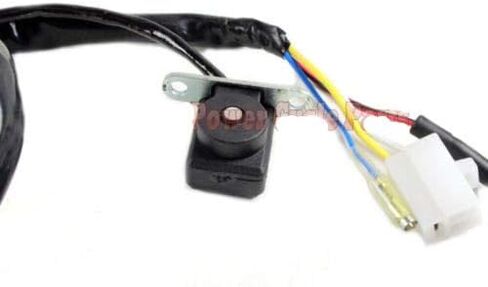 Magneto STATOR 8 Coil Pole متوافق مع محرك GY6 49cc 50cc 80cc 125cc 150cc139QMB 147QMD 152QMI 157QMJ، سكوتر ATV JONWAY Lance ZNEN TAOTAO ROKETA - 4 أسلاك in Kuwait
