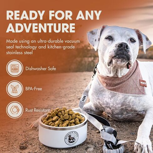Stainless Steel Dog Bowl, 32oz Capacity, Non-Slip, BPA Free, Easy to Clean in Saudi Arabia