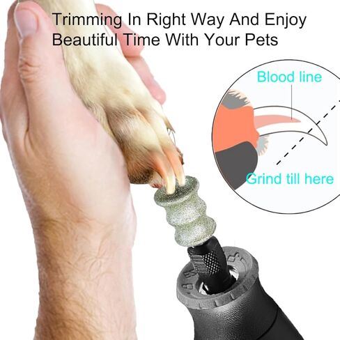 أداة تشذيب أظافر الكلاب من OVATAVO - أداة تزيين أظافر الكلاب من أجل Dremel - مرفق مطحنة أظافر الحيوانات الأليفة مقاس 1/8 بوصة للكلاب والقطط والحيوانات الصغيرة (2 لتر) in Kuwait