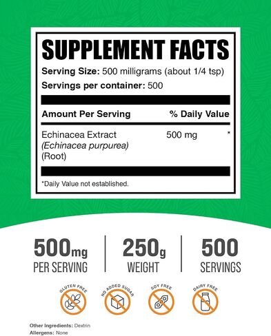BulkSupplements.com Echinacea Extract Powder - Echinacea Supplement, Herbal Supplement for Immune Support - Vegan & Gluten Free, 500mg per Serving, 500g (1.1 lbs) (Pack of 1) in Kuwait