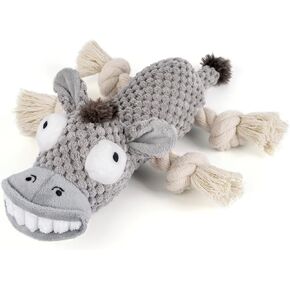 ألعاب الهالوين للكلاب، ألعاب الكلاب المضحكة التي تصدر صوت صرير، ألعاب الكلاب المحشوة من القطيفة للكلاب الصغيرة والمتوسطة الكبيرة، ألعاب مضغ الجرو للتسنين، ألعاب حبل الكلاب، ألعاب الكلاب من أجل الملل، مسلية - الخفافيش in Kuwait