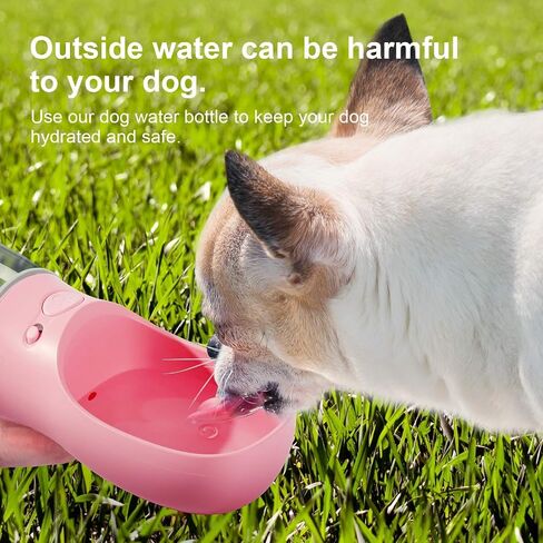 DEYACE Dog Water Bottle, Leak Proof Portable Pet Water Bottles for Dogs, Puppy Water Dispenser with Drinking Feeder for Travel (Teal 12oz) in Kuwait