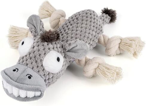 ألعاب الهالوين للكلاب، ألعاب الكلاب المضحكة التي تصدر صوت صرير، ألعاب الكلاب المحشوة من القطيفة للكلاب الصغيرة والمتوسطة الكبيرة، ألعاب مضغ الجرو للتسنين، ألعاب حبل الكلاب، ألعاب الكلاب من أجل الملل، مسلية - الخفافيش in Kuwait