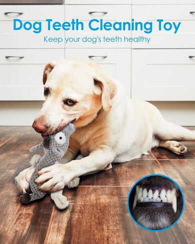 ألعاب الهالوين للكلاب، ألعاب الكلاب المضحكة التي تصدر صوت صرير، ألعاب الكلاب المحشوة من القطيفة للكلاب الصغيرة والمتوسطة الكبيرة، ألعاب مضغ الجرو للتسنين، ألعاب حبل الكلاب، ألعاب الكلاب من أجل الملل، مسلية - الخفافيش in Kuwait