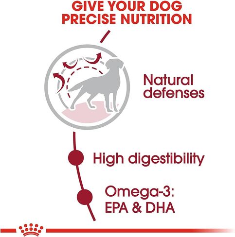 Royal Canin Size Health Nutrition Medium Adult Dry Dog Food, 17 lb Bag in Saudi Arabia