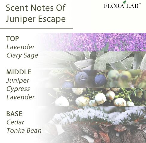 Scented Diffuser Set with Sticks and Real Dried Flowers, 6.7oz (200ml) Eucalyptus & Rosemary, Long-Lasting Fragrance, Natural Design, Perfect for Home & Bathroom, Shelf Decor, Ideal Gift in Saudi Arabia