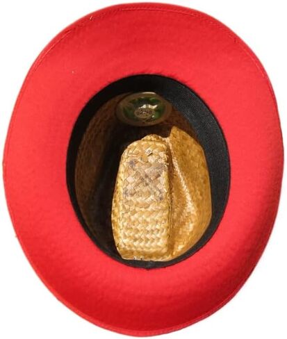 KOOL BREEZE SOLAR HAT for Women - Straw Hat Lady's Brown Fedora Red Under with Solid Colored Scarf - Sun Hat with Solar Panel and Built-in Fan, Brown, One size in Kuwait