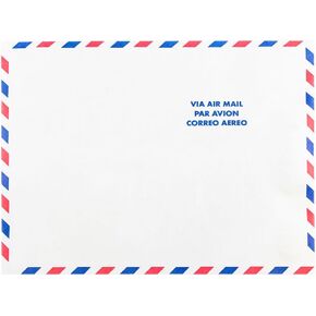 JAM PAPER Tyvek Tear-Proof Open End Catalog Envelopes - 10 x 13 - Red - 25/Pack
