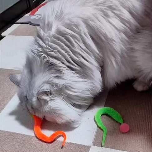 Interactive Cat Balls, 5 Packs Cat Bouncy Balls with Rainbow Worm Cat Chaser Toy Cat Exrecise Toy Balls, Hour of Entertainment, Safe for Your Kitty in Kuwait