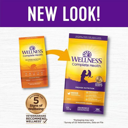 Wellness Complete Health Natural Dry Cat Food with Wholesome Grains, Made in USA with Real Meat (Adult Cat, Chicken & Chicken Meal Recipe, 5-Pound Bag) in Kuwait