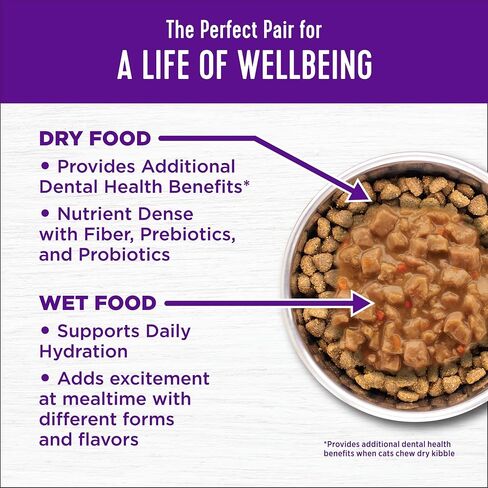 Wellness Complete Health Natural Dry Cat Food with Wholesome Grains, Made in USA with Real Meat (Adult Cat, Chicken & Chicken Meal Recipe, 5-Pound Bag) in Kuwait