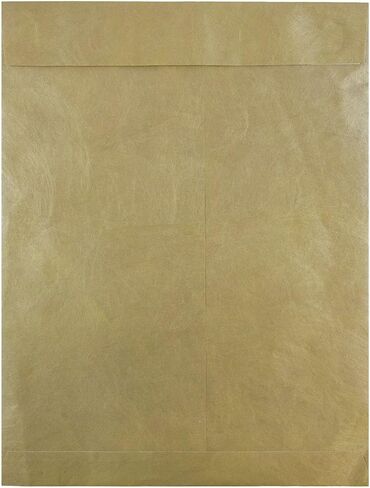 JAM PAPER Tyvek Tear-Proof Open End Catalog Envelopes - 10 x 13 - Red - 25/Pack in Saudi Arabia